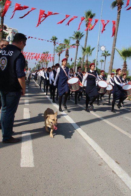 Tören Geçidinde Köpek Sürprizi