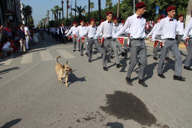 Tören Geçidinde Köpek Sürprizi