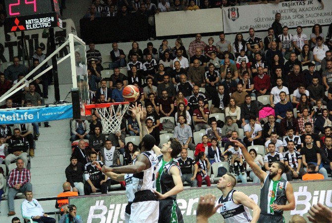 Spor Toto Basketbol Ligi