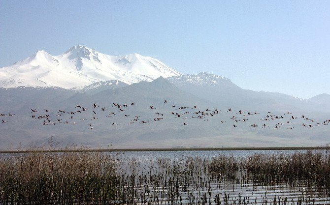 Orman Ve Su İşleri Bakanlığı Bir Projeyi Daha Tamamladı