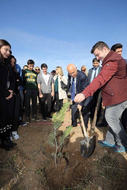 Yenimahalle’de Fidanlar Toprakla Buluştu