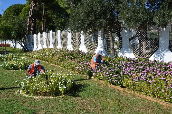 Alanya’ya 200 Bin Çiçek