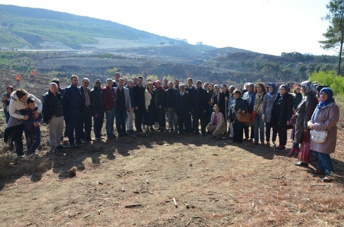 Çanakkale’de Ömer Halisdemir Hatıra Ormanı Oluşturuldu