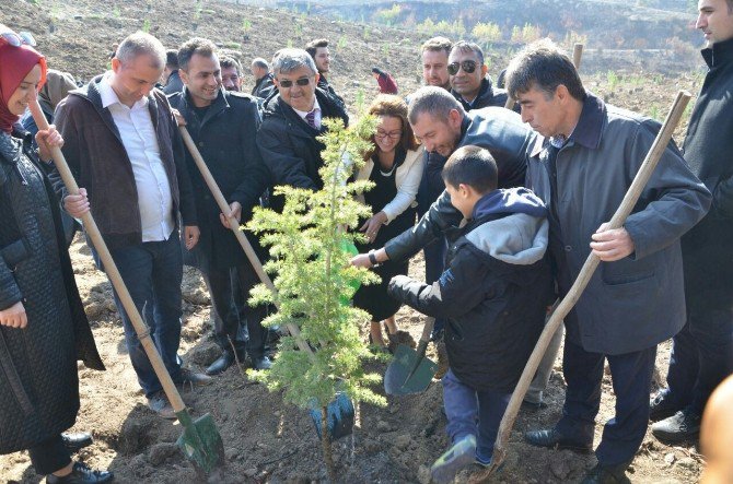 Çanakkale’de Ömer Halisdemir Hatıra Ormanı Oluşturuldu