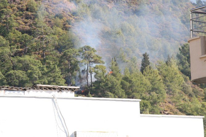 Marmaris’te Orman Yangını Büyümeden Söndürüldü