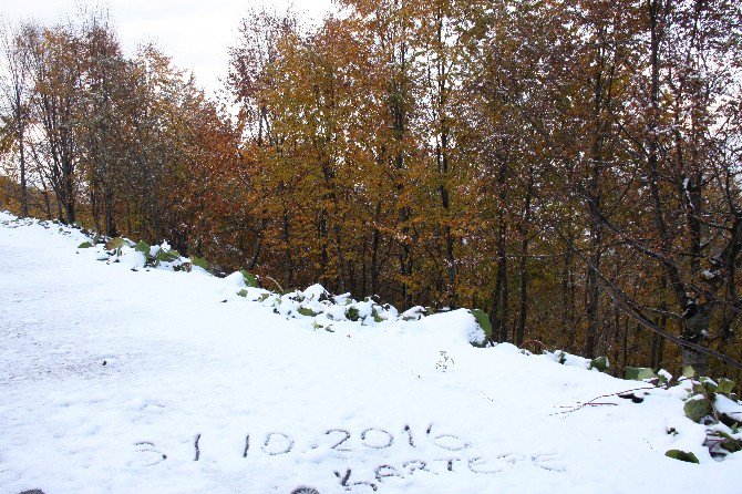 Kartepe’ye Yılın İlk Karı Düştü