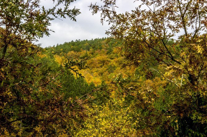 Kazdağları Sonbaharda Bir Başka Güzel