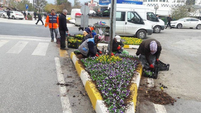 Akçakoca Çiçeklendiriliyor