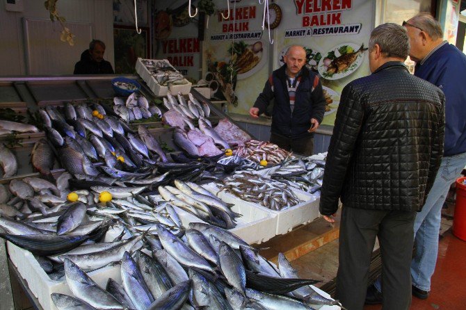 Balık Var Ama Yiyen Yok