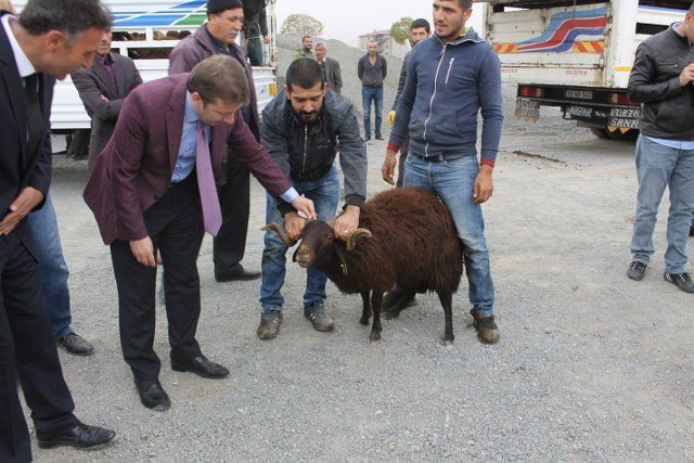 Karakoçan’da 26 Çiftçiye Hayvan Hibesi Yapıldı