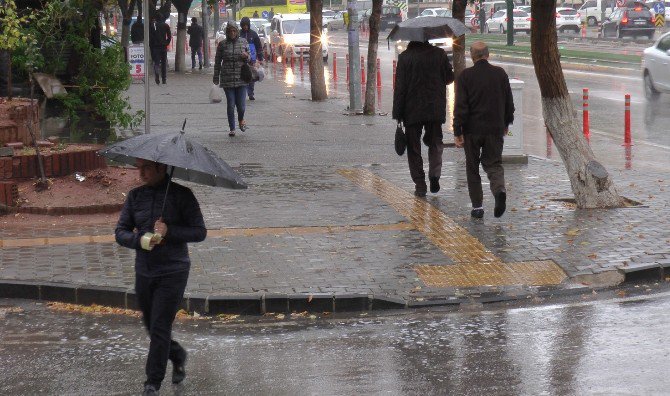 Kurak Yaz Mevsiminin Ardından Sağanak Yağış Çiftçiyi Sevindirdi