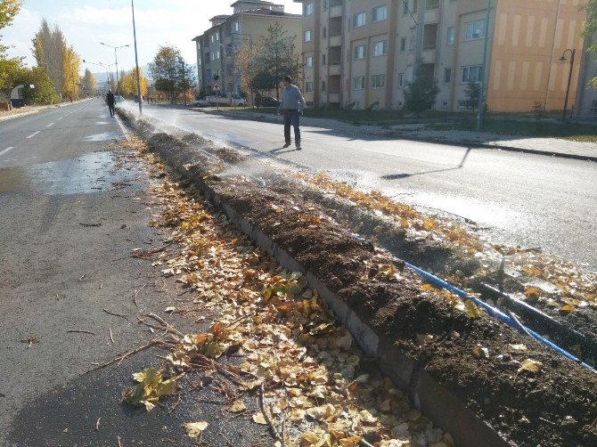 Hisarcık Belediyesi’nden Çimleme Çalışması