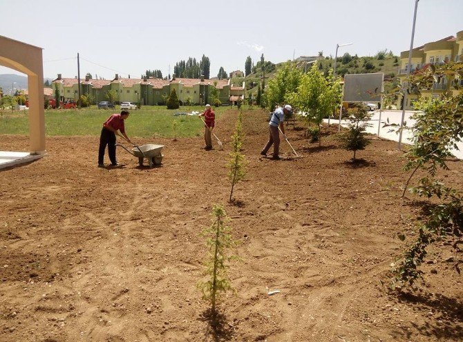 Hisarcık Belediyesi’nden Çimleme Çalışması