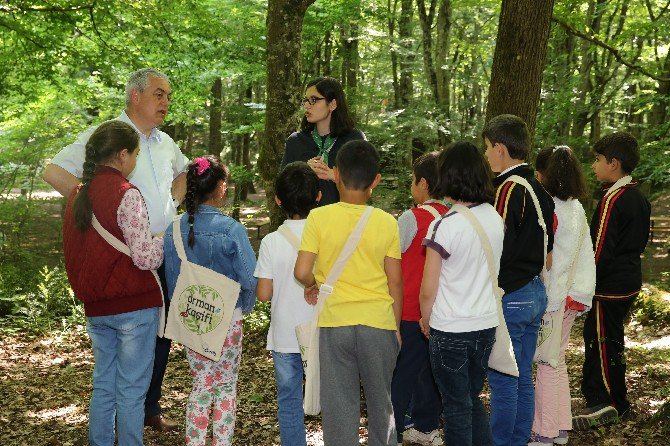 Eyüp’te Oryantiring Heyecanı