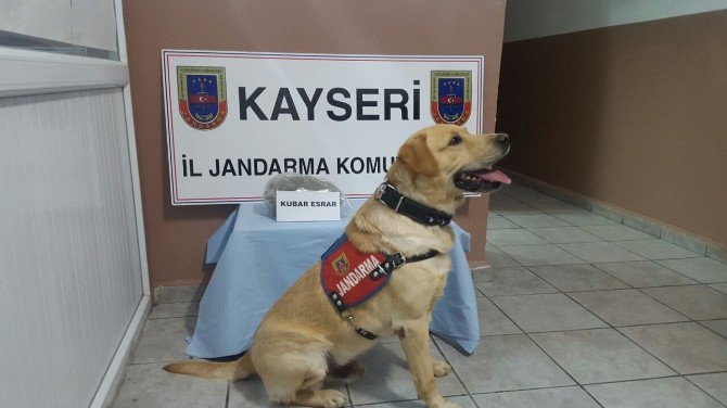 Jandarma’dan Uyuşturucu Operasyonu