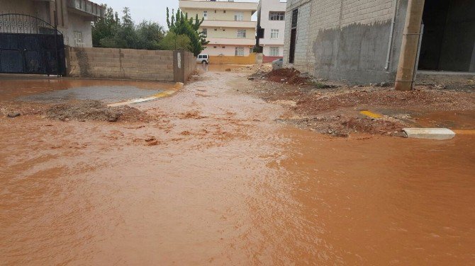 Suruç’ta Yağmur Beraberinde Sel Getirdi