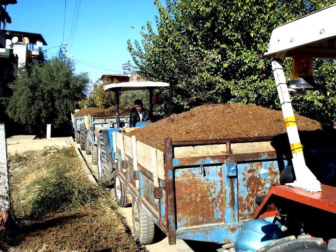 Sarıgöl Üzüm Bağlarına Doğal Gübre