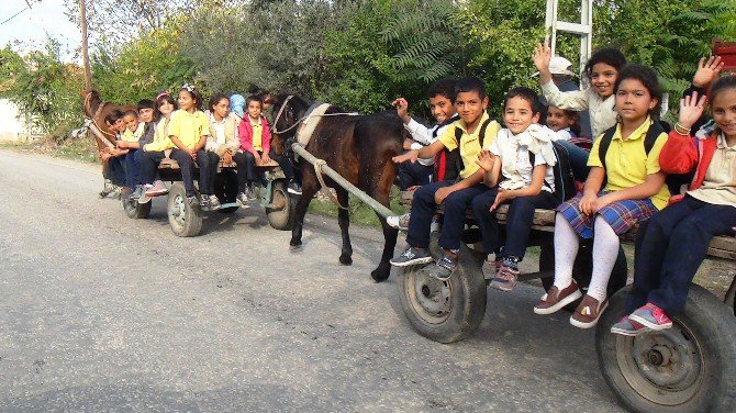 Öğrenciler Okula At Arabasıyla Gidiyor