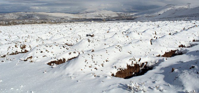 Erzurum’da Toplu Mezar Kazılıyor