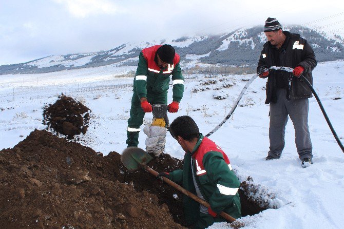 Erzurum’da Toplu Mezar Kazılıyor