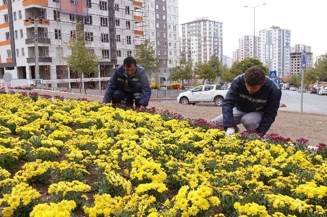 Talas, Mevsiminin Çiçekleriyle Renklendi