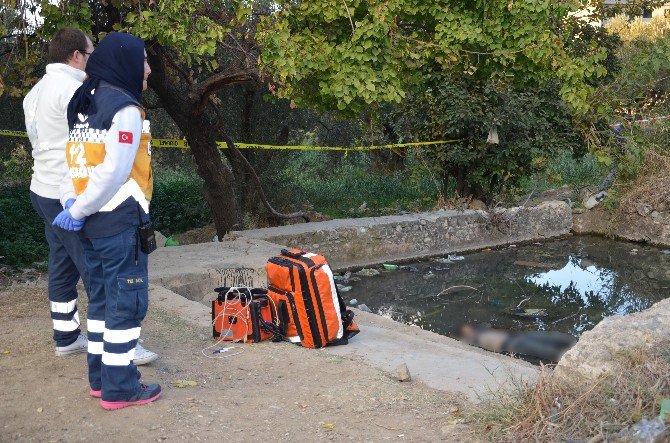 Sulama Havuzunda Ölü Bulundu