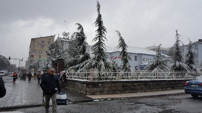 Tatvan Beyaza Büründü