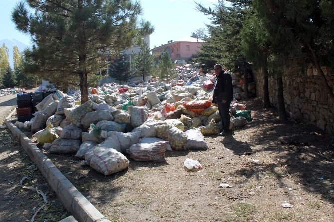 Niğdeli Elma Üreticileri Destek İstiyor