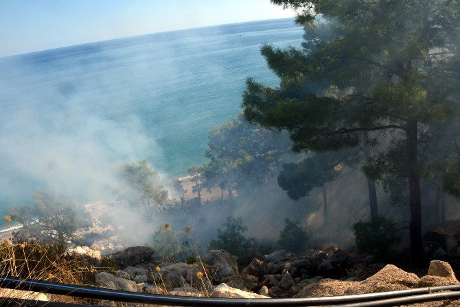 Antalya’da Orman Yangını