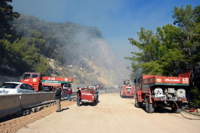 Antalya’da Orman Yangını