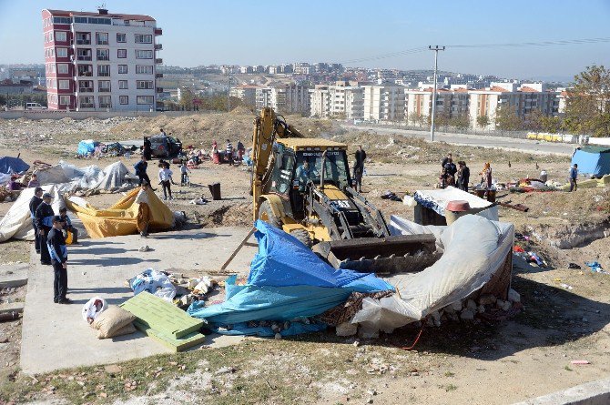 Bursa’da Sahipsiz At Ve Baraka Operasyonunda Arbede