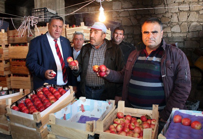 Niğdeli Elma Üreticileri Destek İstiyor