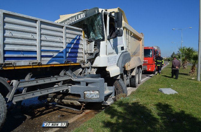 Eşek Zincirleme Kazaya Neden Oldu: 1 Yaralı