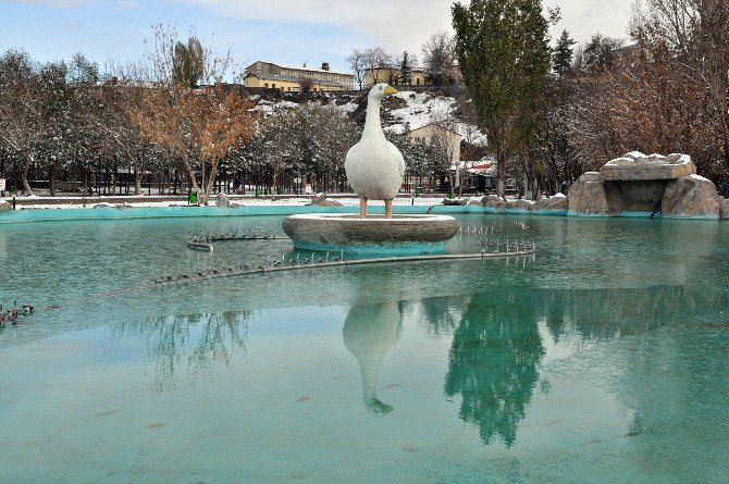 Kars Buz Kesti, Kentte Süs Havuzları Dondu