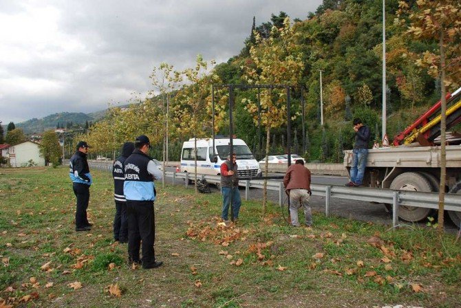 Kocaeli’de Görsel Kirlilik Oluşturan Tabelalar Kaldırılıyor