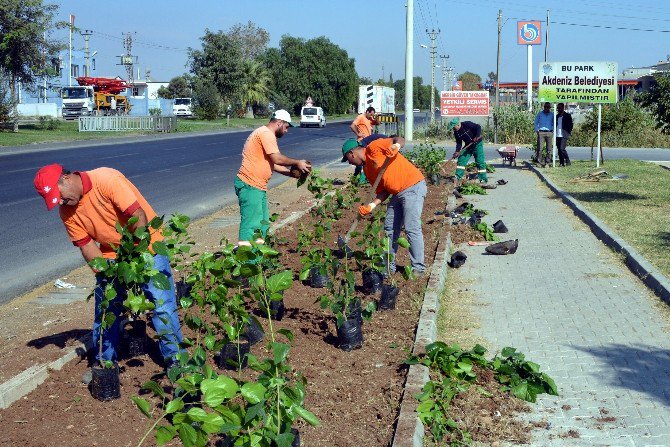 Akdeniz Belediyesi, Parkları Yenilemeye Devam Ediyor