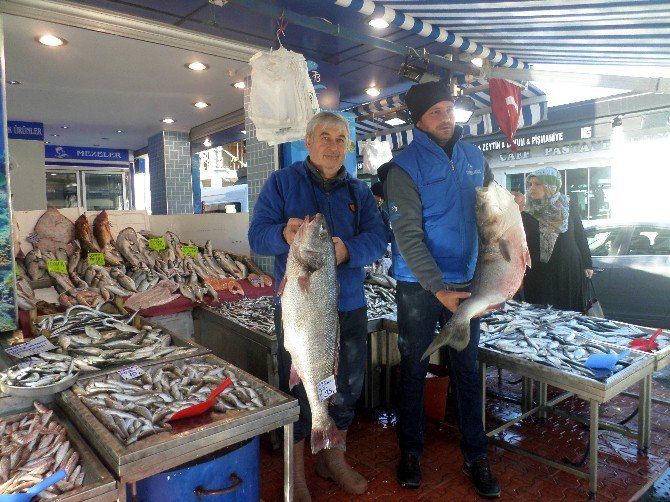 Mudanya’da Balık Bereketi