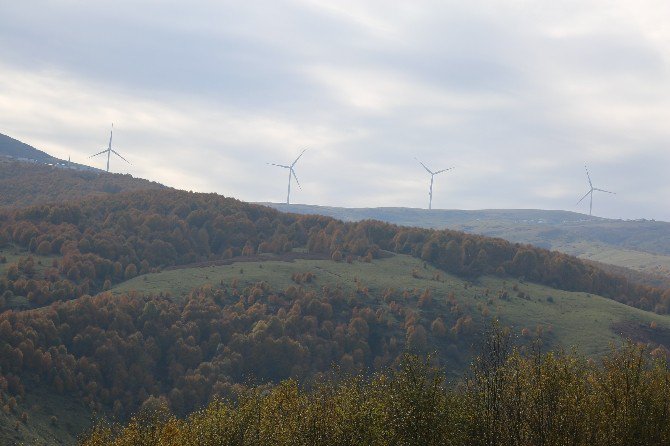 Ordu Yaylalarında Rüzgardan Enerji Üretiliyor