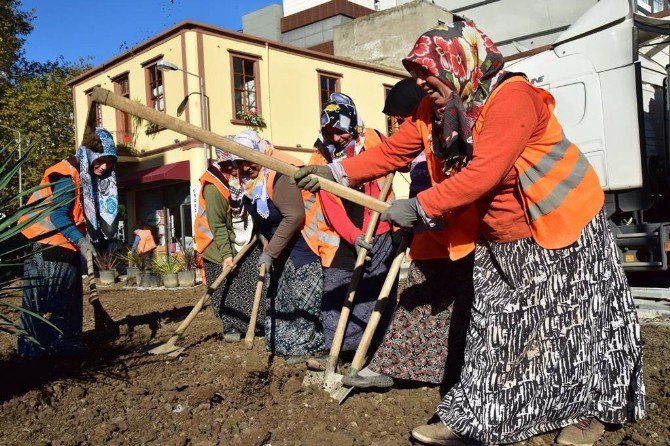 Peyzaj Düzenlemesine Kadın Eli