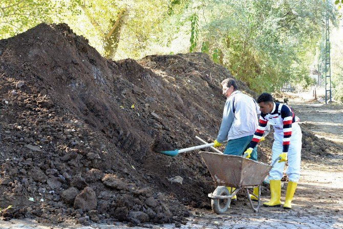 Güvenlik Görevlisinin Solucan Gübresiyle Gelen Başarı Hikayesi