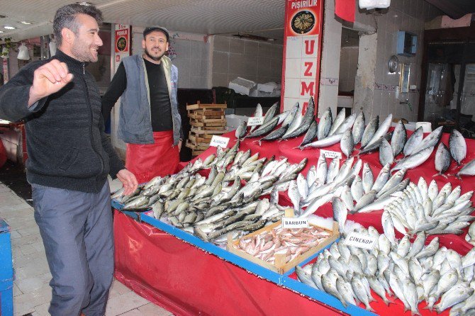 Balık Pazarı’nda Deniz Ürünleri Çeşitliliği