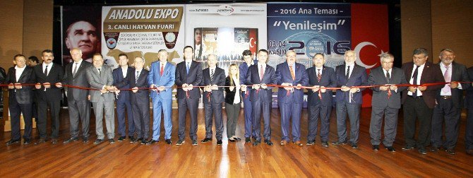 Kuşadası’nda Düzenlenen Anadolu Expo 3. Canlı Hayvan Fuarı Açıldı