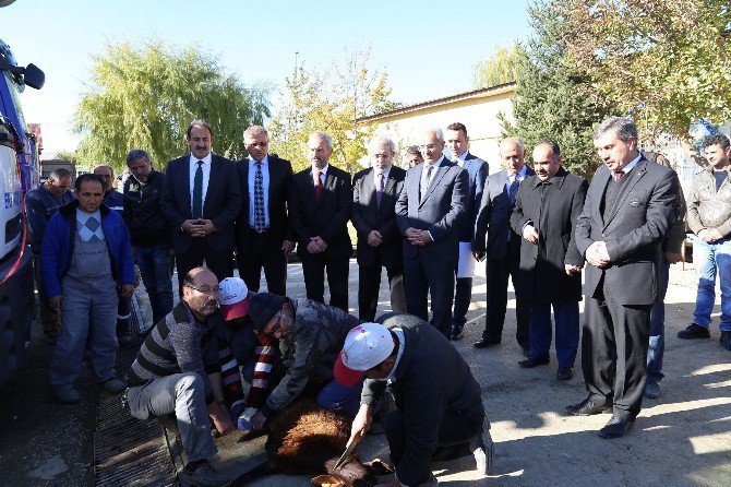 Erzincan Belediyesi Araç Filosunu Genişletiyor