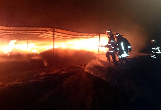 Büyükşehir İtfaiyesi Onlarca Hayvanı Yanmaktan Kurtardı