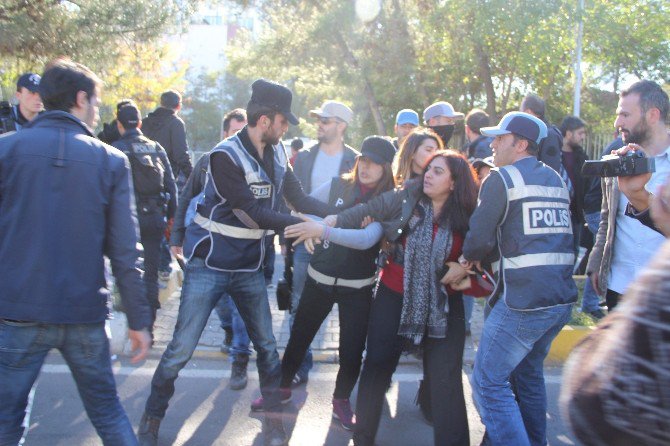 Dbp Eş Genel Başkanı Tuncel Gözaltına Alındı