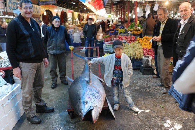 Denizi Olmayan Sivas’ta 305 Kiloluk Orkinos Şaşırttı