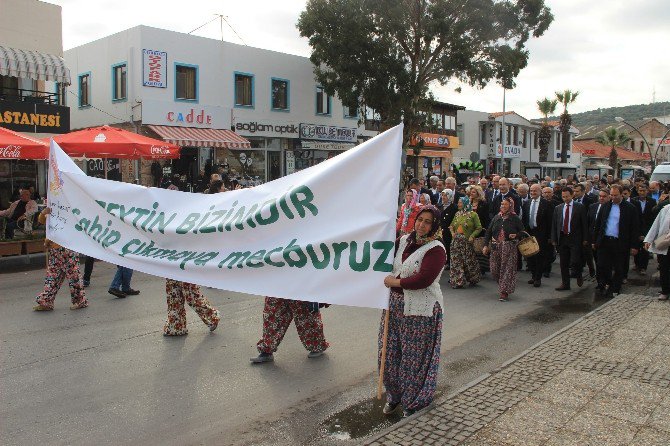 Kantarcı “Her Hasat Bir Barış Buluşmasıdır”