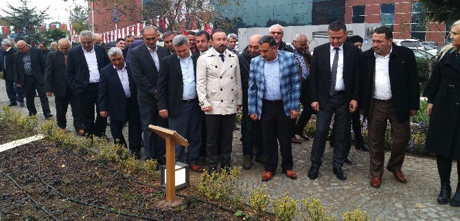 Kocaeli’de Tıbbi Ve Aromatik Bitkiler Bahçesi Açıldı