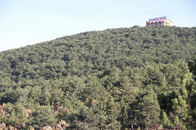 Yozgat Çamlık Milli Parkı’nı Belediye İşletecek