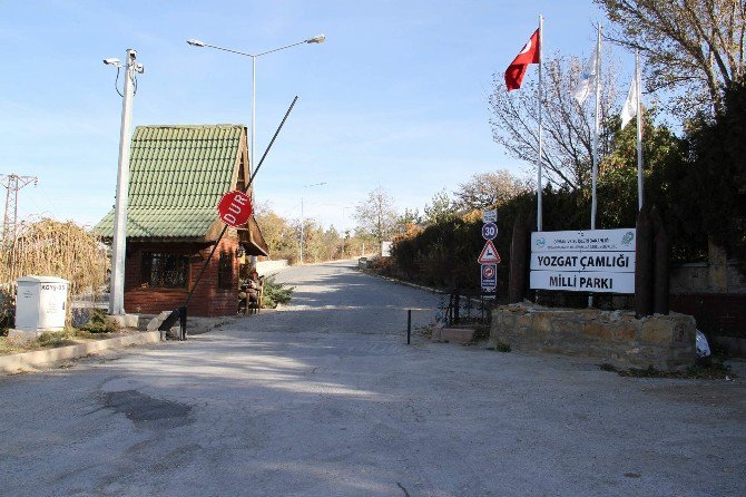 Yozgat Çamlık Milli Parkı’nı Belediye İşletecek